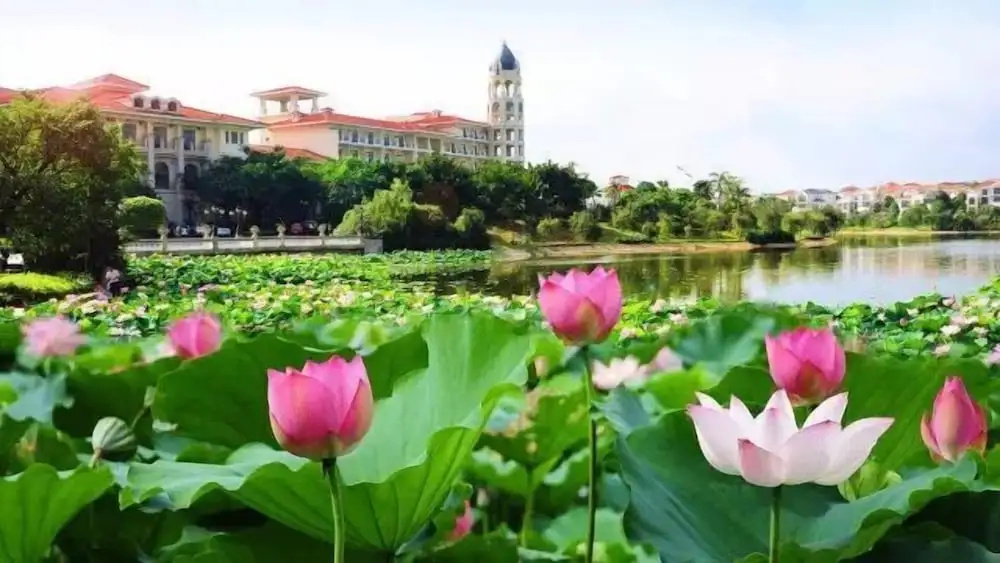 Ctry Garden Phoenix Hot Spring Taizhou - Général