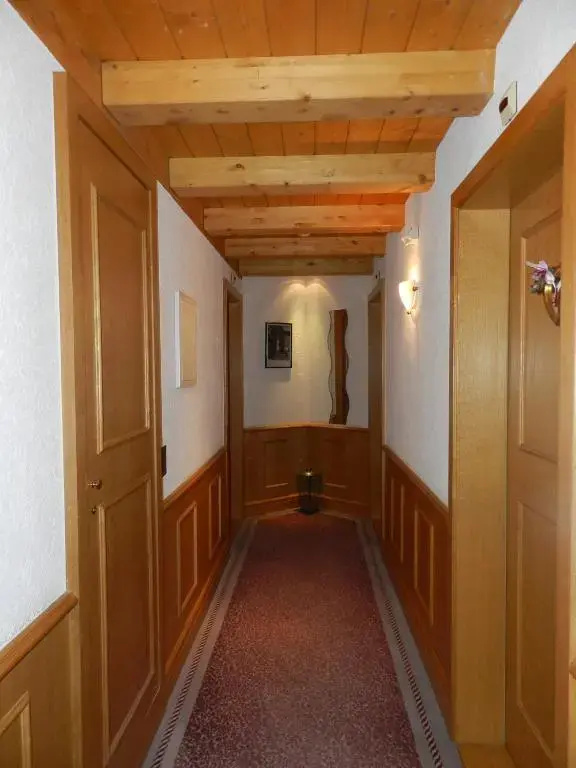 Hotel Alpina - Général