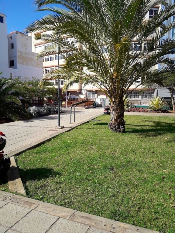 Apartment With 2 Bedrooms in Las Palmas de Gran Canaria, With Wifi - 1