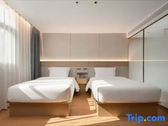 Standard Double room with city view (twin beds)