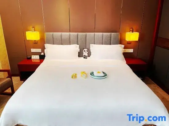 Longcheng International Hotel - Chambres