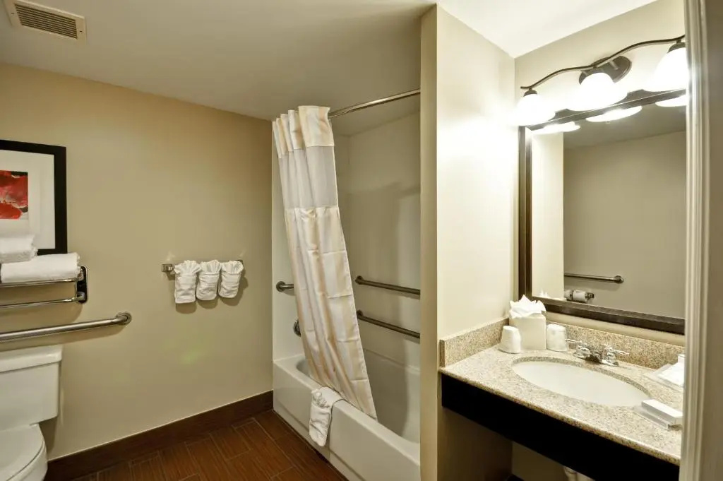 Hilton Garden Inn Tampa North Busch Gardens - Chambres