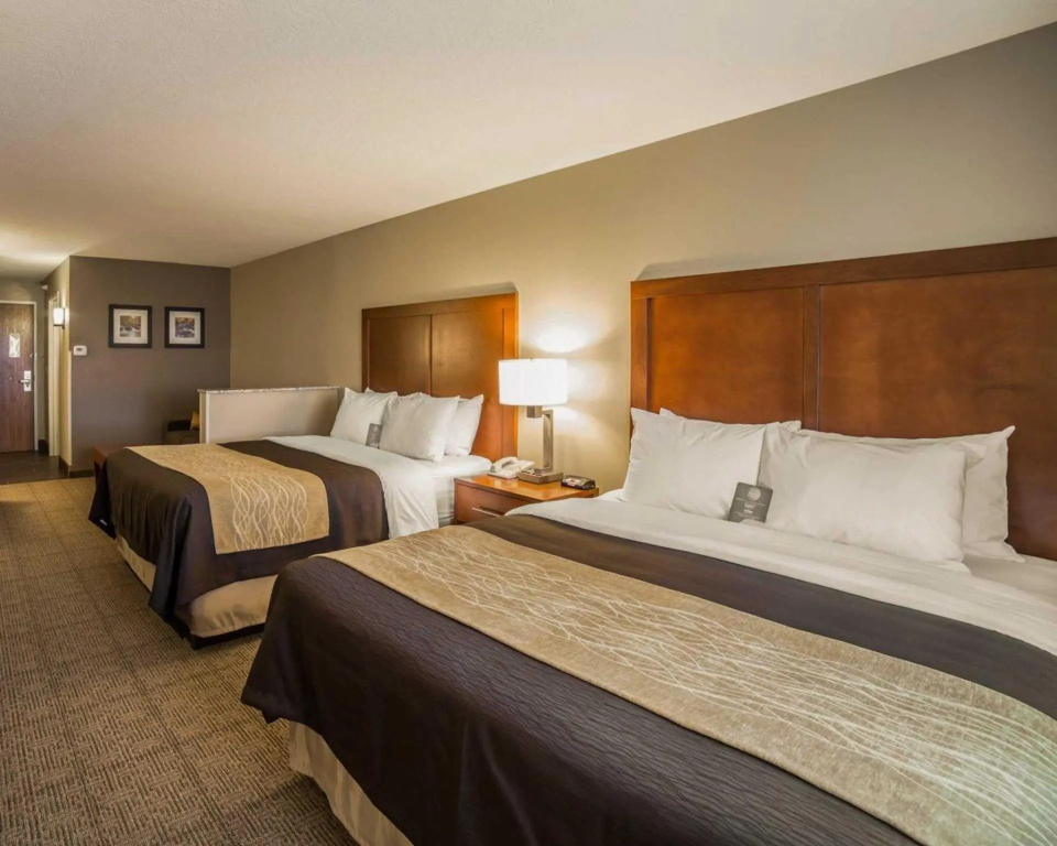 Double Suite (full double bed)