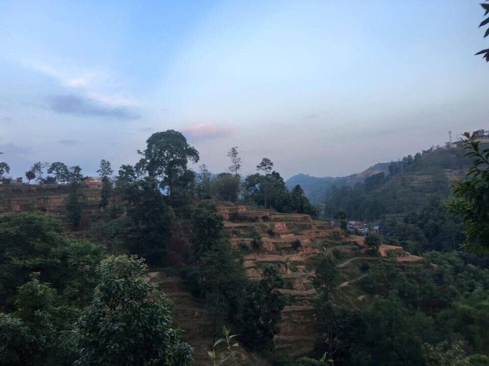 Image 12