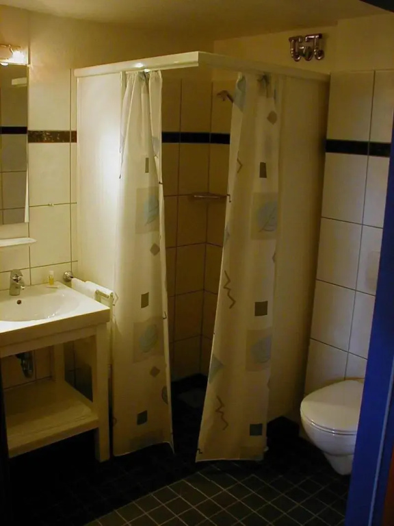 Burgstadt-Hotel - Général