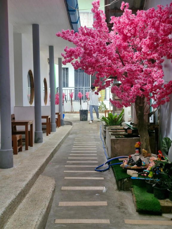 Hotel photo 14