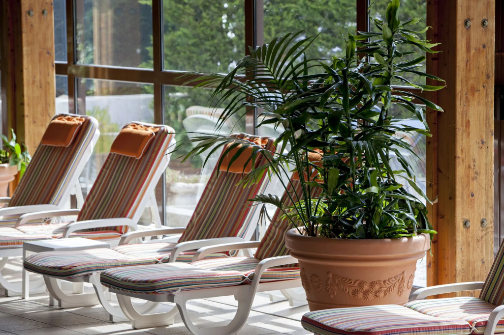 Best Western Le Relais de Laguiole Hotel & Spa - Général