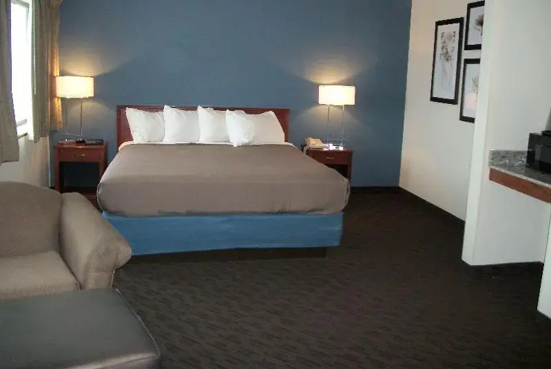 Luxury Suite