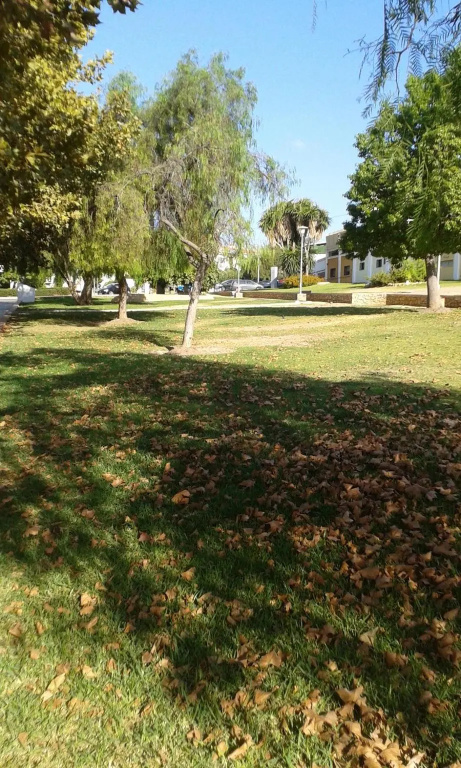 Apartamentos Tursol