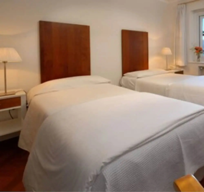 Standard Double room with garden view (full double bed)