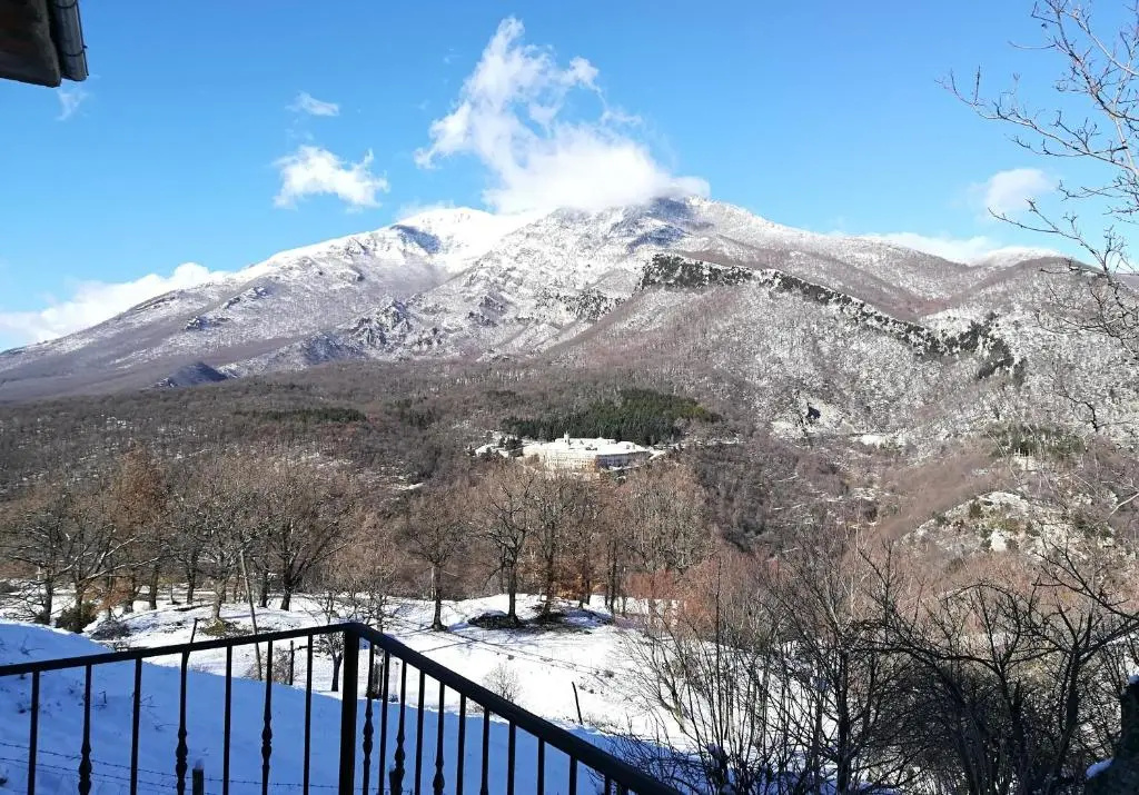 Standard Double room with mountain view (full double bed)