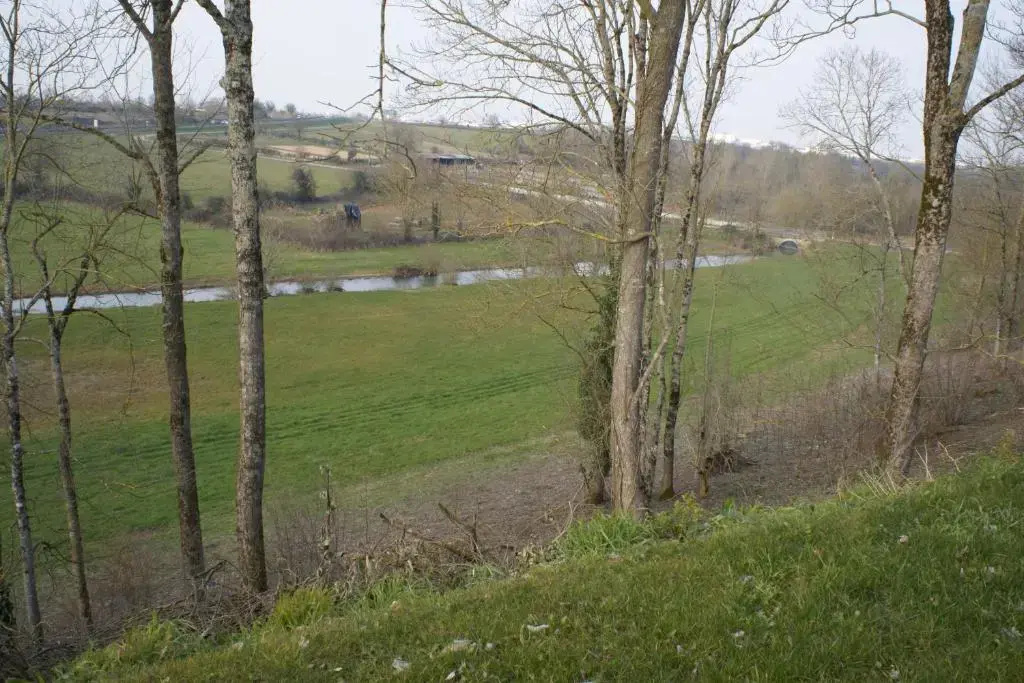 Standard Double room with garden view (twin beds)