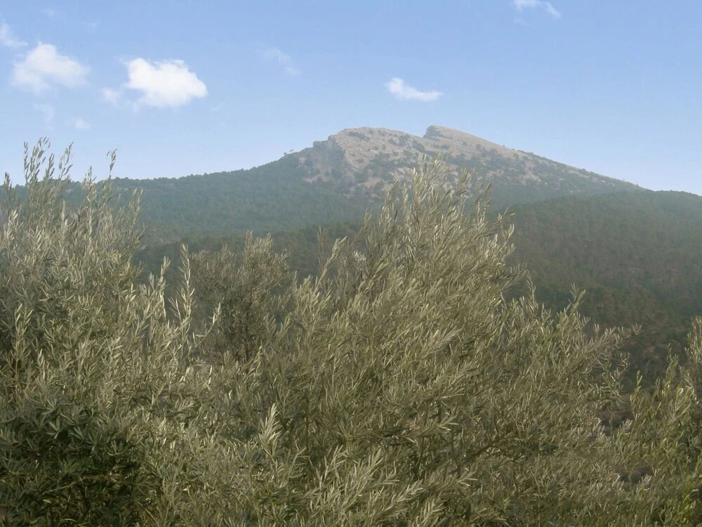 House With 6 Bedrooms in El Cortijo, With Wonderful Mountain View and Furnished Garden