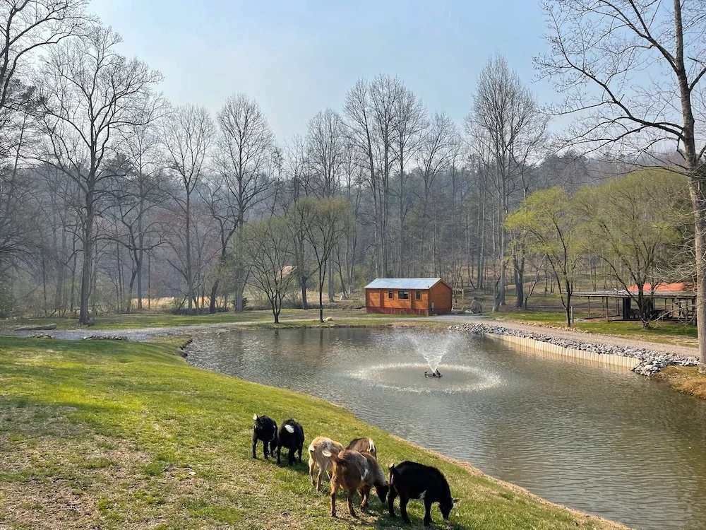 Cobb Creek Cabins