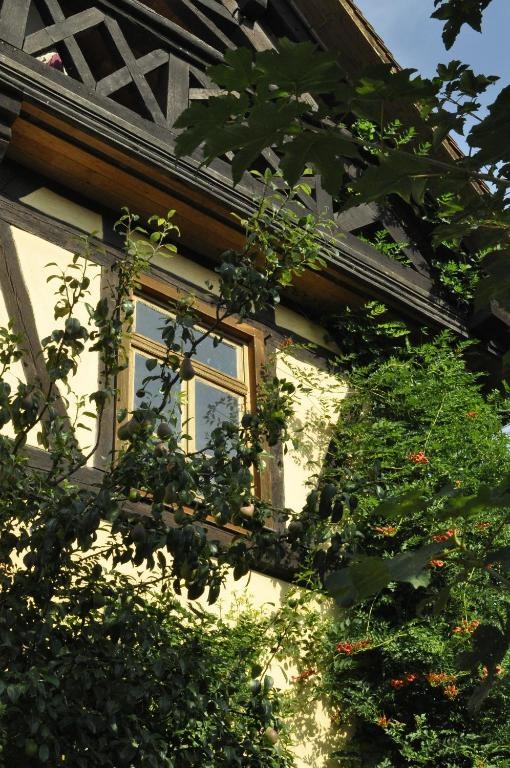 Gästezimmer - Fuhrhalterei Maul