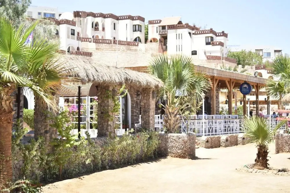 sunshine diving center