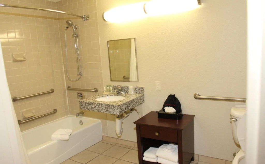 Holiday Inn St Petersburg N - Clearwater by IHG - Général