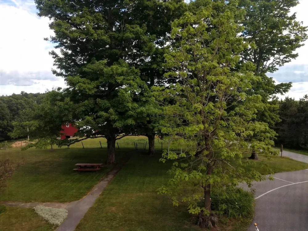 Standard Double room with garden view (full double bed)