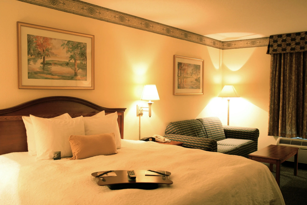 Hampton Inn & Suites Atlanta Airport North I-85 - Général