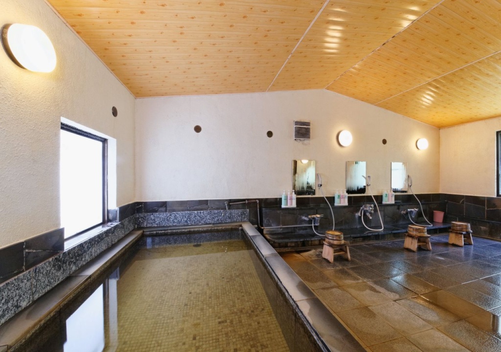 Ashinoko Ichinoyu Hotel 사진 20