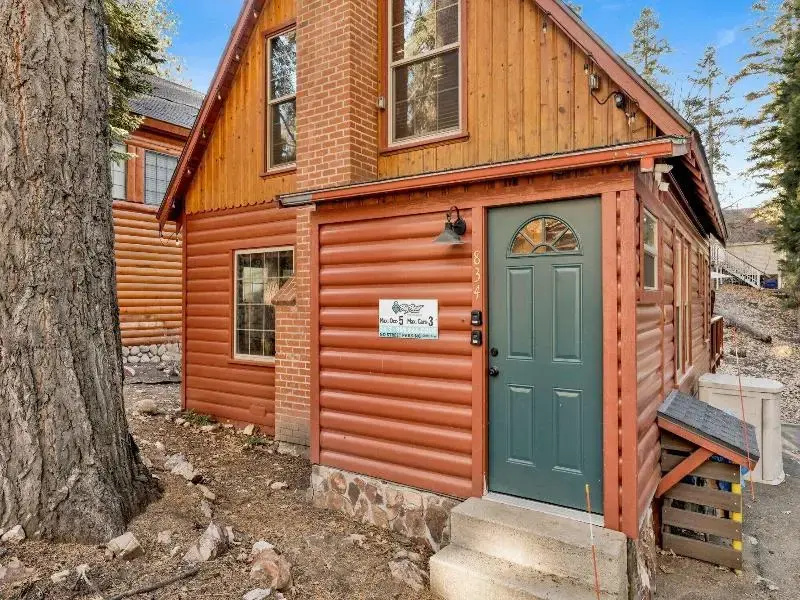 Silvertip Pines #2335