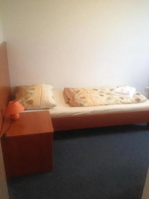 Hotel Ruzeny - Chambres