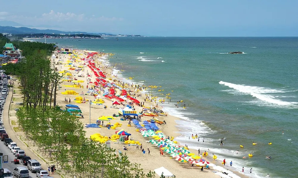 Beach & Waterfront