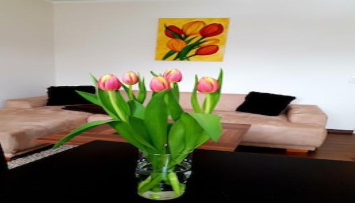 Ferienwohnung an der Elbfähre