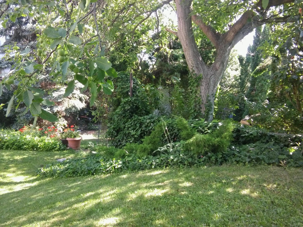 Toszkána Apartman