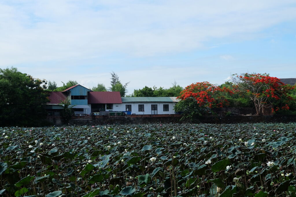 Khách Sạn Đại Long