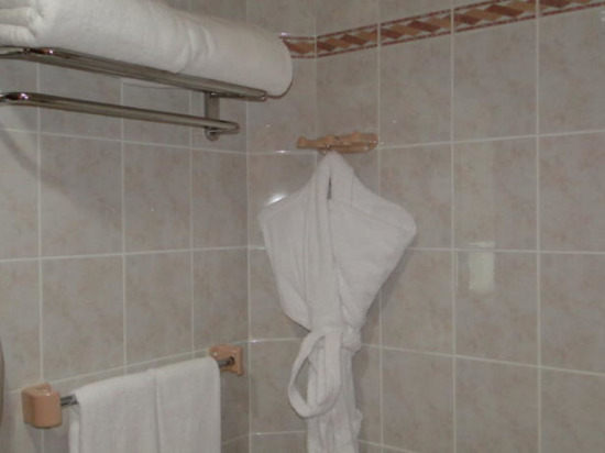 Al Diar Capital Hotel