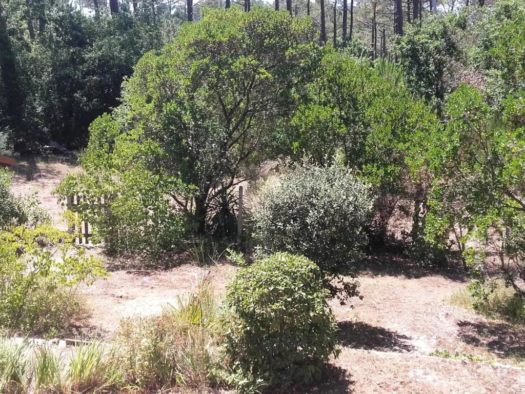 Afficher la photo 7 — MAISON ARCACHON, 3 PIèCES, 5 PERSONNES - FR-1-319-383