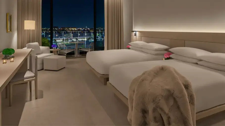Deluxe Double room with city view (full double bed)