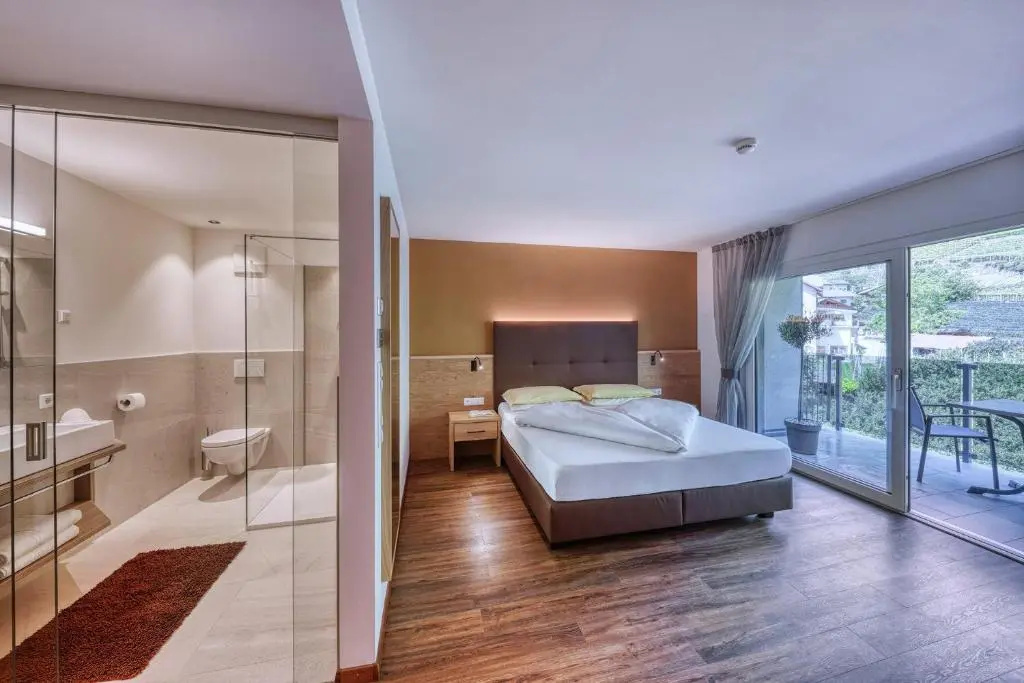 Standard Double room with mountain view (full double bed)