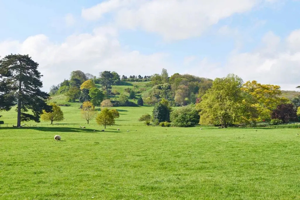 Dumbleton Hall Hotel - Chambres