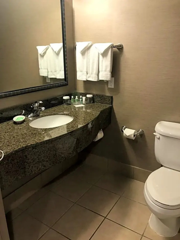 Holiday Inn & Suites Albuquerque-North I-25 by IHG - Chambres