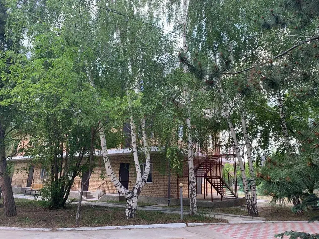 Delfin Murok - фото 9