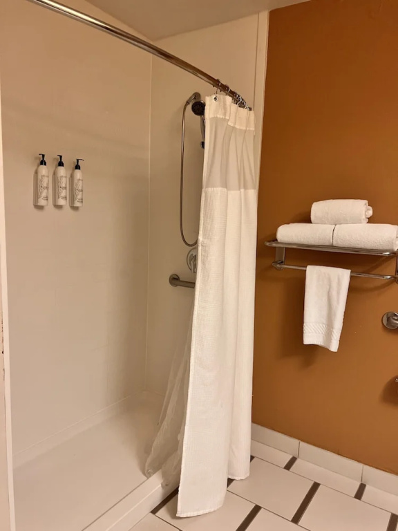 Fairfield Inn & Suites by Marriott Atlanta Suwanee - Chambres