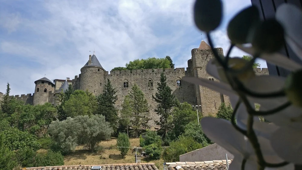 Face à la Cité : appartement avec cour !