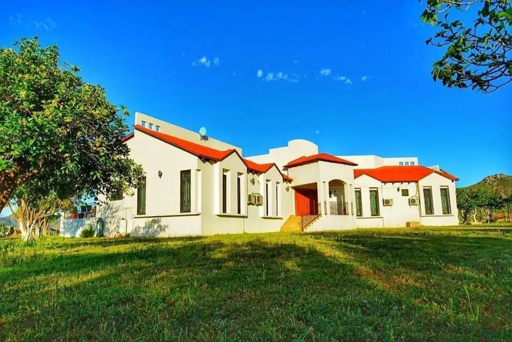 Image 8
