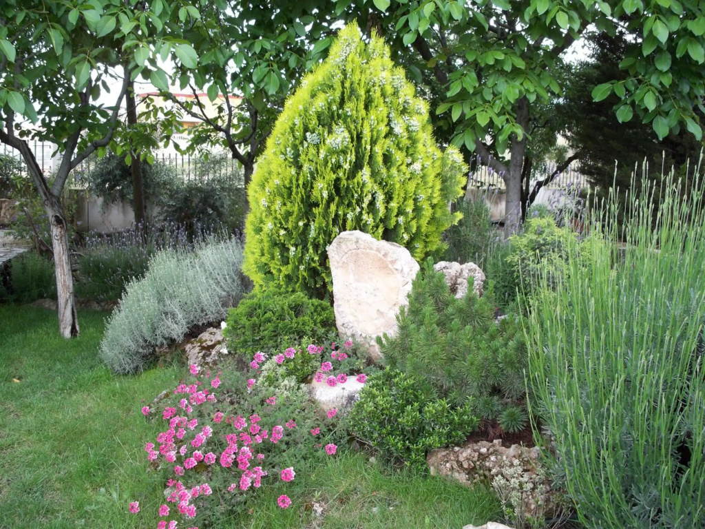 El Rincon de Pepa