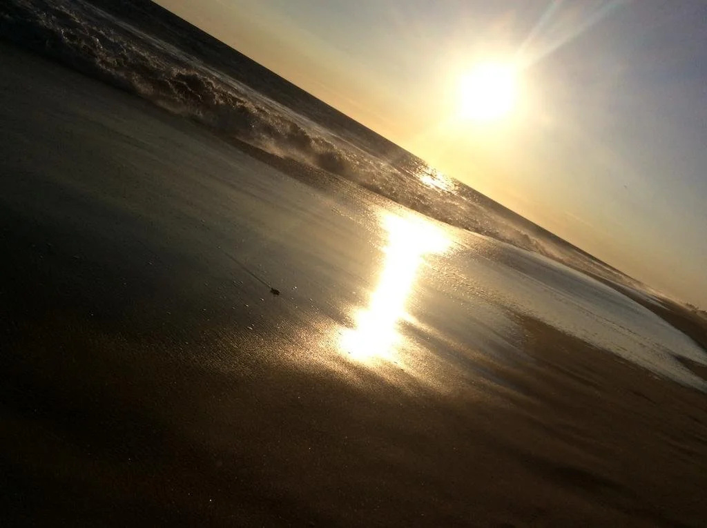 Beach & Waterfront