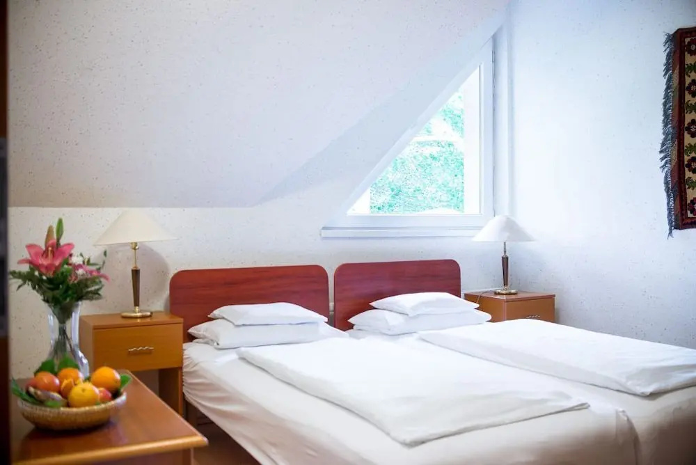 Wellness Hotel Szindbád - Chambres