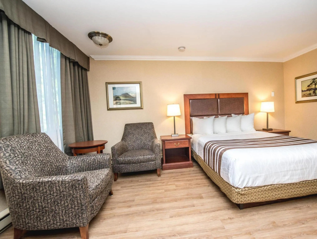 Best Western Plus Ottawa City Centre - Chambres