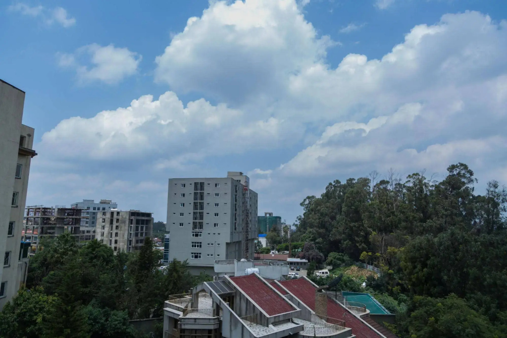 Home Town Addis Hotel - Général