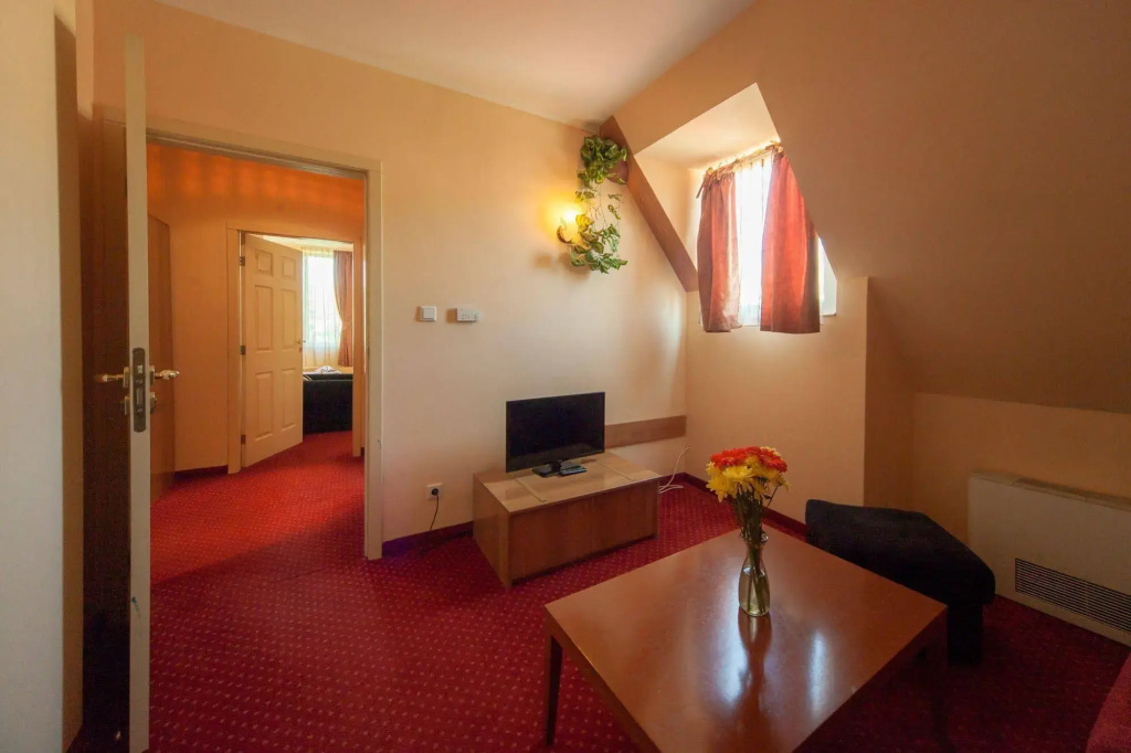 Alegro Hotel - Général