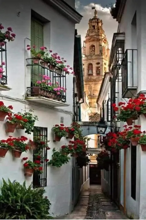 Apartamento con BBQ Los picadores