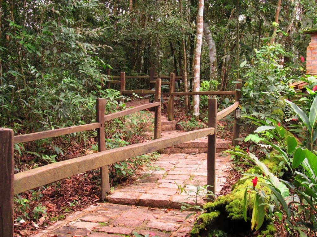 Cantos da Mata