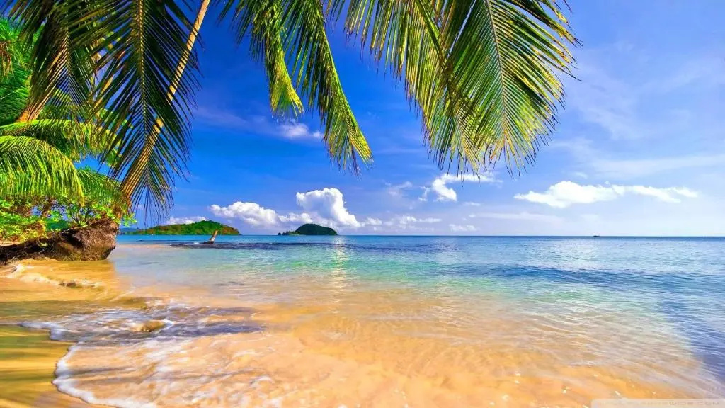 Beach & Waterfront