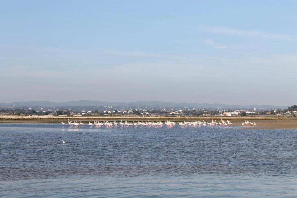 Quinta dos Poetas Nature Hotel & Apartments - фото 32